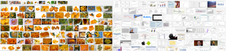 Left: Google image search for kumquat. Every picture is a kumquat. Right: Google image search for 'slow growth period'. The first two images are in the 2006 paper. The other images are mostly economic figures.